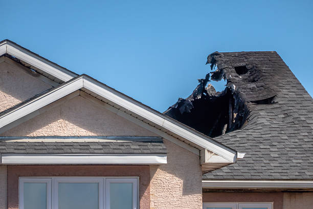 Top rated local Fire Damage Removal specialists in Wickliffe, OH